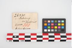 Etikett zu Bronzemehrkopfnadel (NHMW-PRAE-026341)